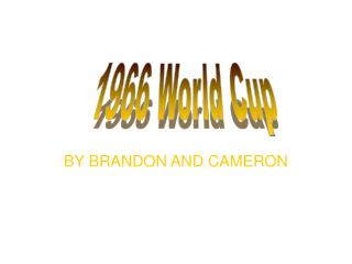 BY BRANDON AND CAMERON