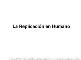 La Replicación en Humano