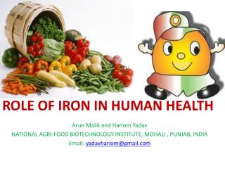 ROLE OF IRON IN HUMAN HEALTH