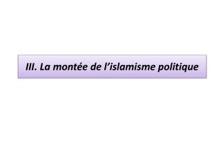 III. La montée de l’islamisme politique