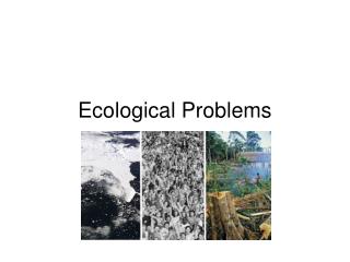 Ecological Problems
