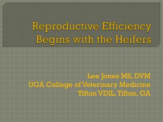 Reproductive Efficiency Begins with the Heifers