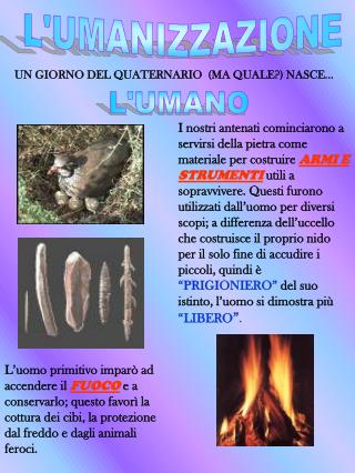 UN GIORNO DEL QUATERNARIO (MA QUALE?) NASCE…