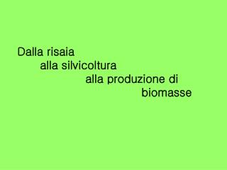 Dalla risaia 	alla silvicoltura 			alla produzione di 				 biomasse