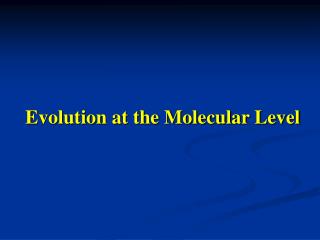 Evolution at the Molecular Level