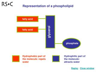 glycerol