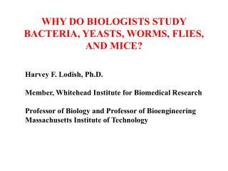 WHY DO BIOLOGISTS STUDY BACTERIA, YEASTS, WORMS, FLIES, AND MICE?
