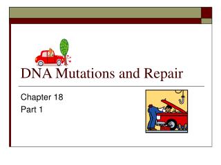 DNA Mutations and Repair