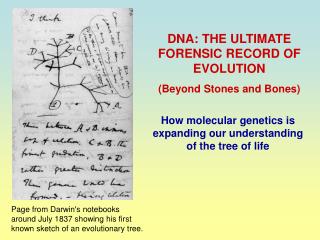 DNA: THE ULTIMATE FORENSIC RECORD OF EVOLUTION (Beyond Stones and Bones)