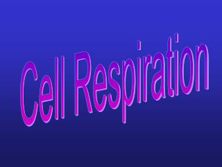 Cell Respiration