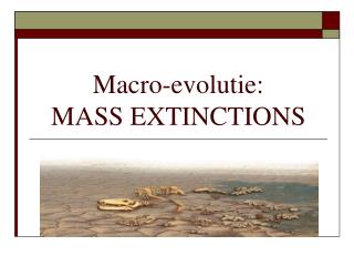 Macro-evolutie: MASS EXTINCTIONS