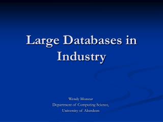 Large Databases in Industry