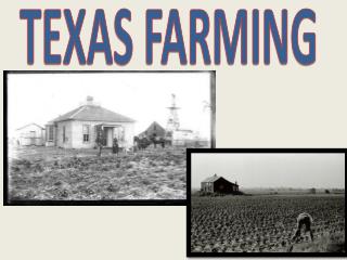 TEXAS FARMING