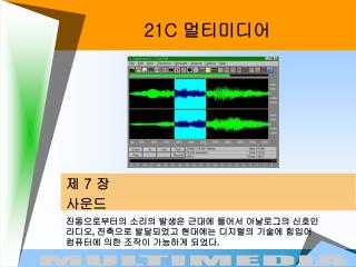 21C 멀티미디어