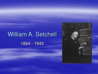 William A. Setchell