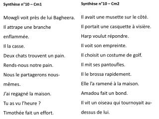 Synthèse n°10 – Cm1 Mowgli voit près de lui Bagheera . Il attrape une branche enflammée.