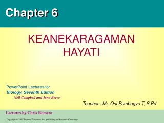 Chapter 6