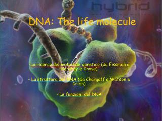 DNA: The life molecule