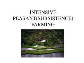 INTENSIVE PEASANT(SUBSISTENCE) FARMING