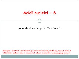 Acidi nucleici – 6