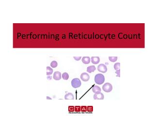 Performing a Reticulocyte Count