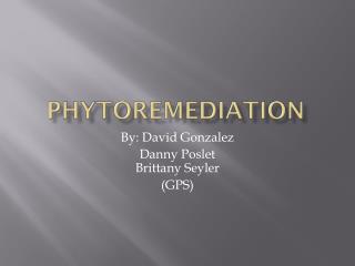 Phytoremediation