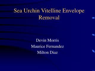 Sea Urchin Vitelline Envelope Removal