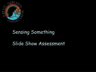 Sensing Something Slide Show Assessment