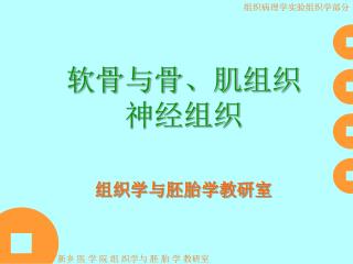 组织学与胚胎学教研室
