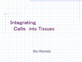 Ｉｎｔｅｇｒａｔｉｎｇ 　Ｃｅｌｌｓ　 into Tissues