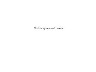 Skeletal system and tissues