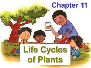 Chapter 11