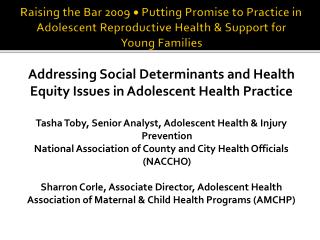 Addressing Social Determinants and Health Equity Issues in Adolescent Health Practice