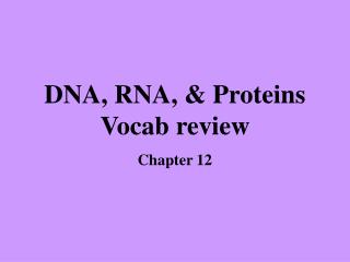 DNA, RNA, &amp; Proteins Vocab review