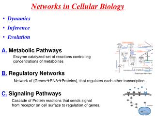 Networks in Cellular Biology