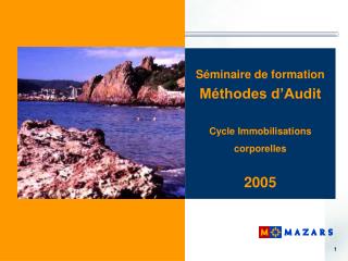 Séminaire de formation Méthodes d’Audit Cycle Immobilisations corporelles 2005