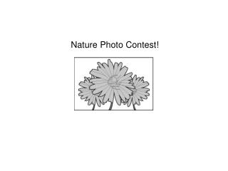 Nature Photo Contest!