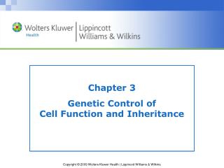 Chapter 3 Genetic Control of Cell Function and Inheritance