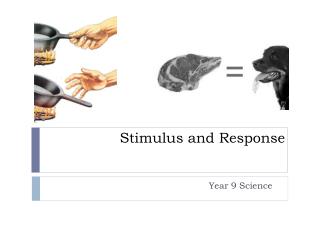 Stimulus and Response