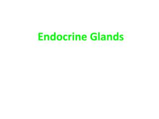 Endocrine Glands