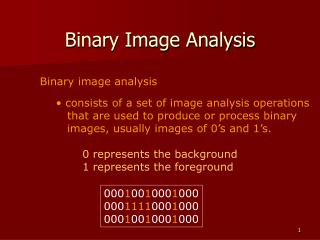 Binary Image Analysis