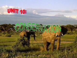 CONSERVATION