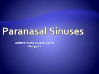 Paranasal Sinuses