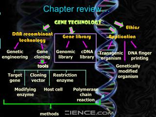 Chapter review…