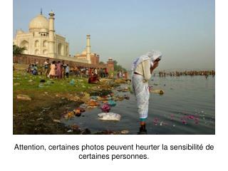 Attention, certaines photos peuvent heurter la sensibilité de certaines personnes.