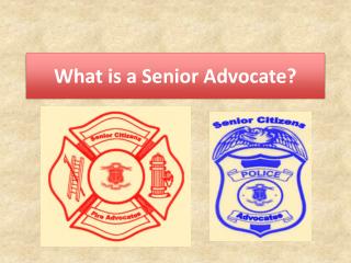 What is a Senior Advocate?