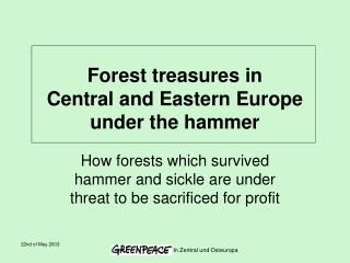 Forest treasures in Central and Eastern Europe under the hammer