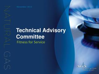 Technical Advisory Committee