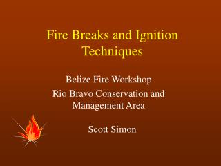 Fire Breaks and Ignition Techniques