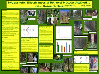 Hedera helix: Effectiveness of Removal Protocol Adapted to Field Research Data